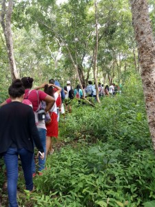 Trilha Ecológica  durante ação  para comemorar o dia do Turismo Ecológico no Campus Coelho Neto.