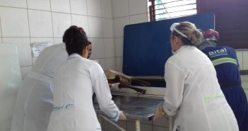 Acompanhamento do descarte de resíduos no campus Paulos VI Retirada de formol do laboratório de ensino