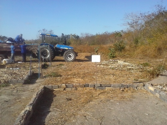 Através de parcerias internas e externas Projeto de Compostagem promove a gestão de resíduos orgânicos no Campus Paulo VI