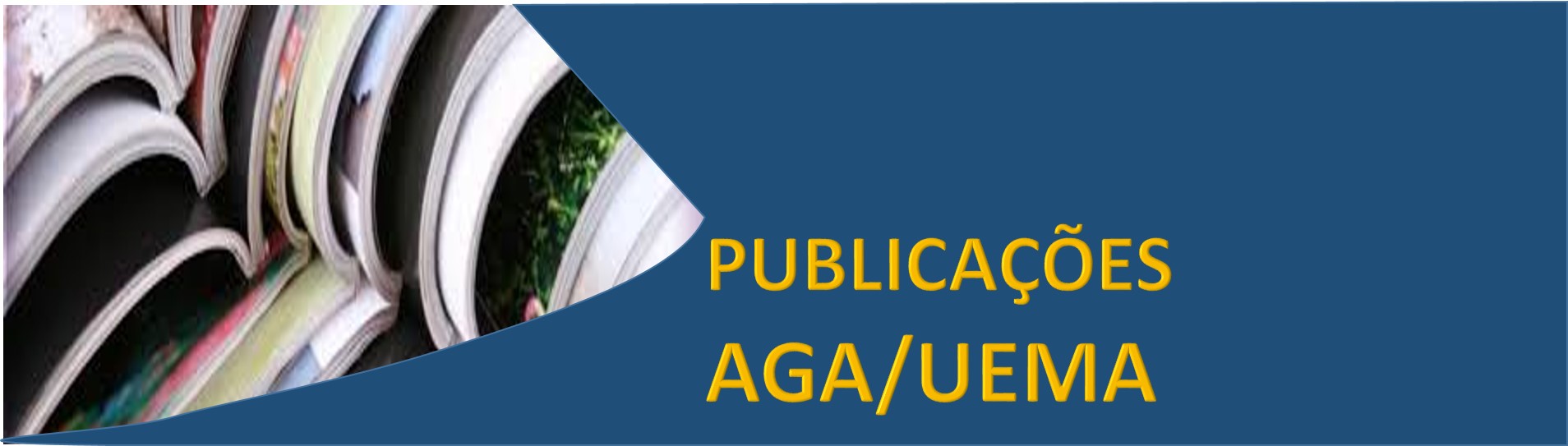 Publicações