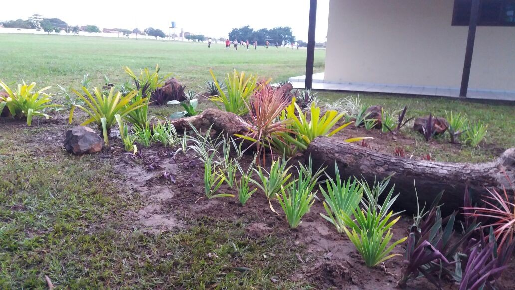 AGA E PREFEITURA DE CAMPUS REALIZAM JARDINAGEM NO CAMPUS PAULO VI
