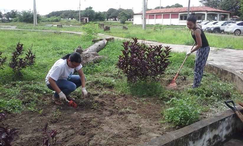 IMPLANTAÇÃO DO PROJETO JARDINAGEM NO CENTRO DE EDUCAÇÃO CIÊNCIAS EXATAS E NATURAIS- CECEN