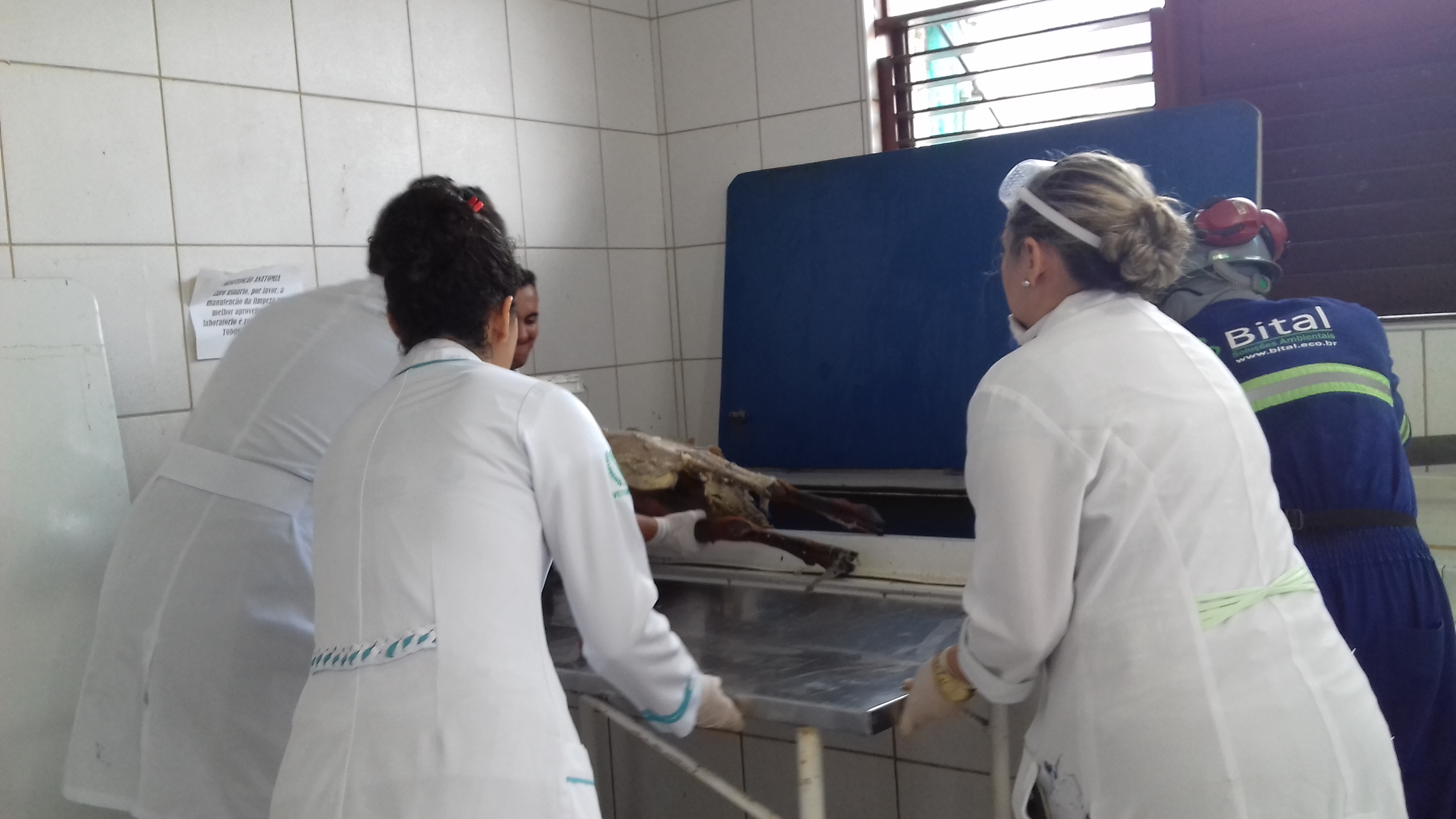 Acompanhamento do descarte de resíduos no campus Paulos VI
