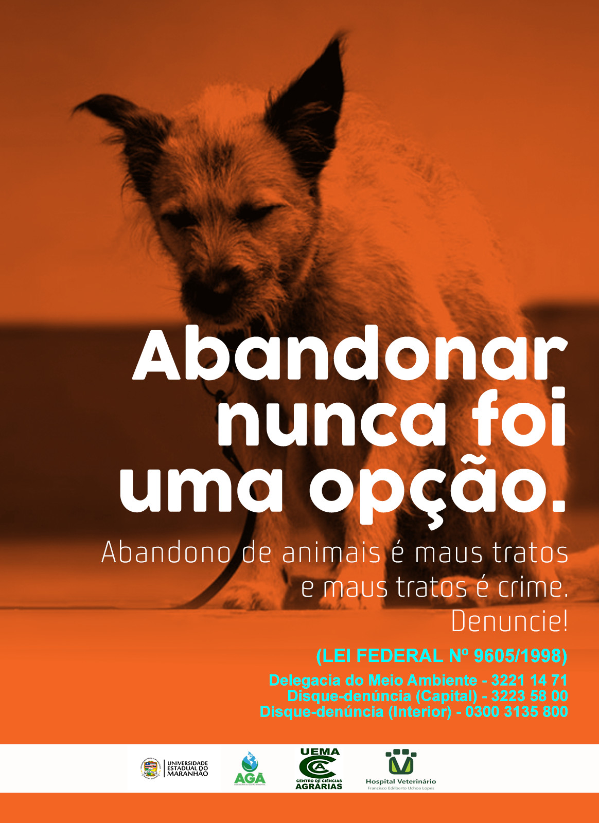 Campanha Abril laranja