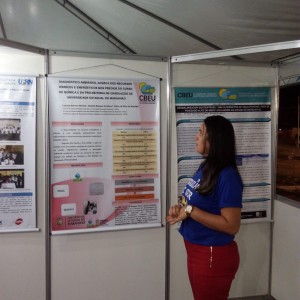 Apresentação de trabalho em painel