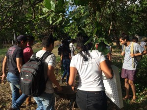 Oficina na Fazenda Escola