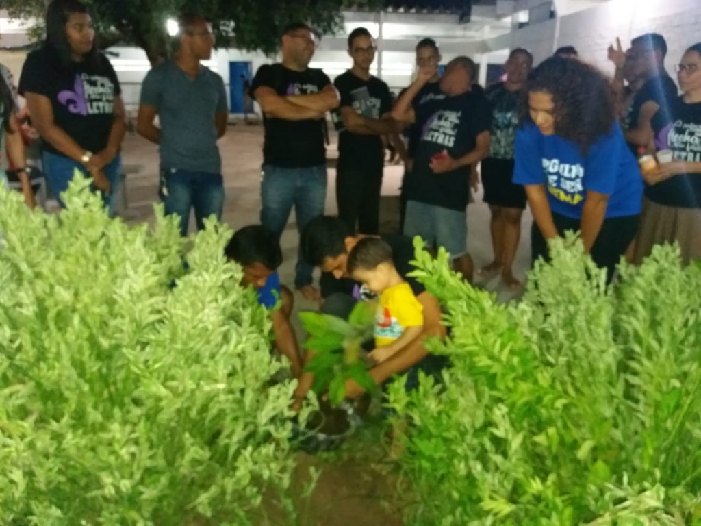 Plantação de mudas