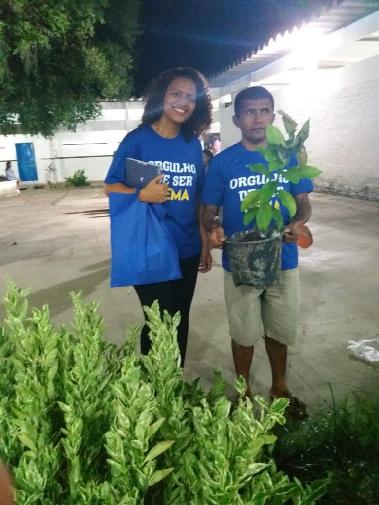 Plantação de mudas