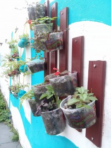 Jardim vertical construído por alunos