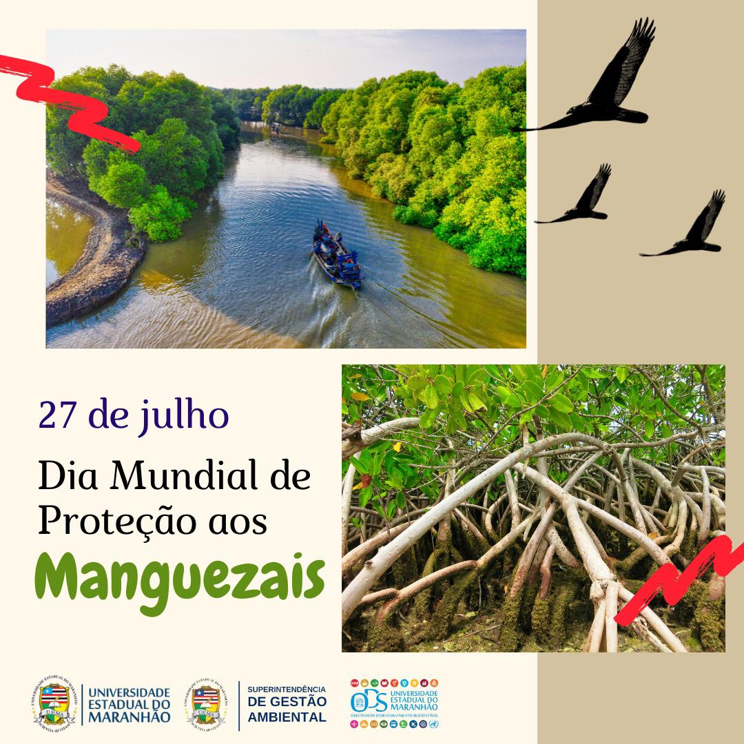 Dia Mundial de Proteção aos Manguezais (26/07)