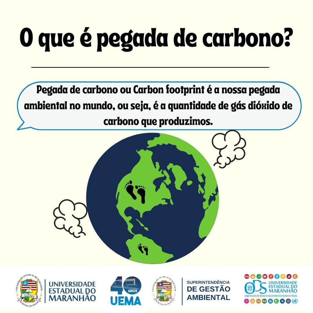 Pegada de carbono