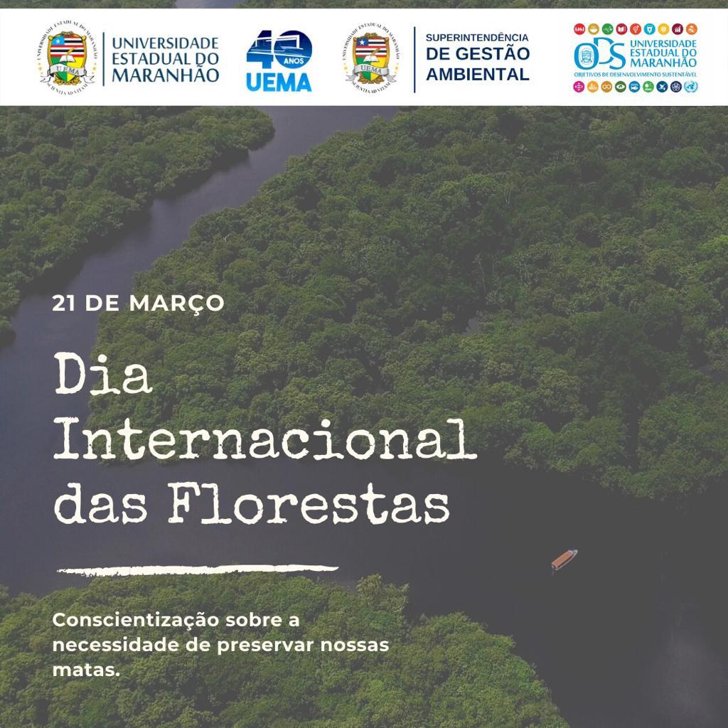 Dia Internacional das Florestas