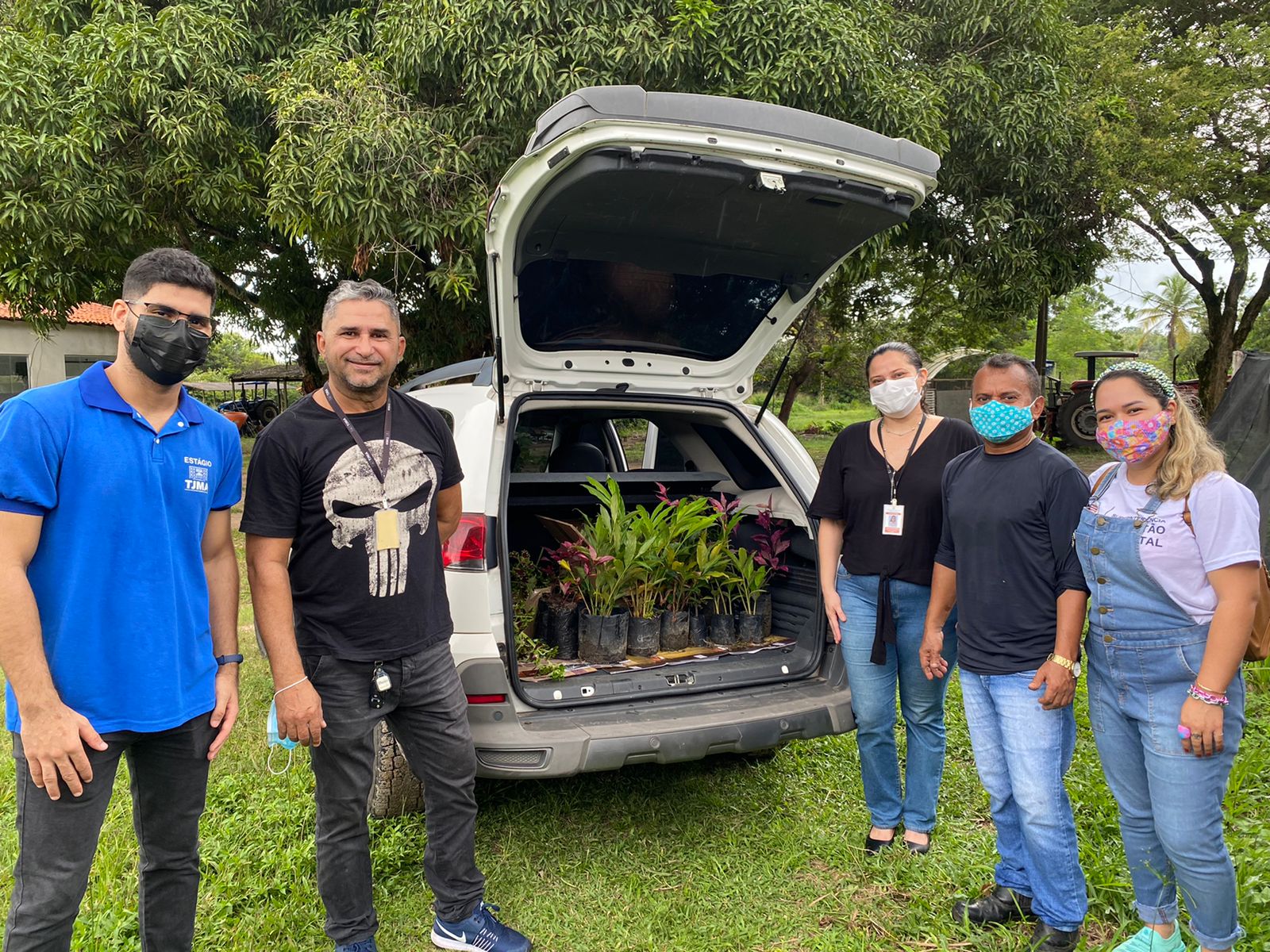 Doação de mudas para comemoração ao Dia da Terra