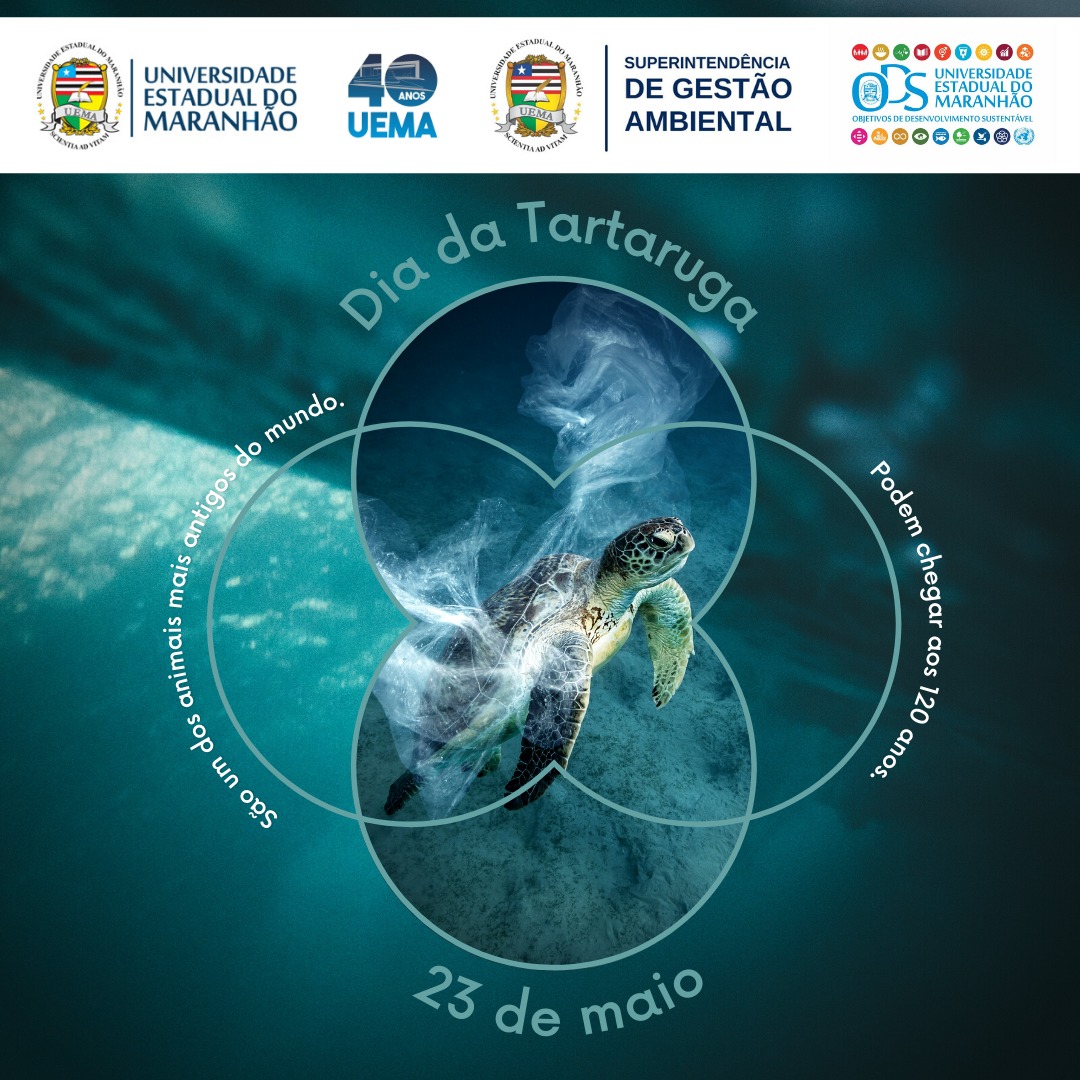Dia da Tartaruga