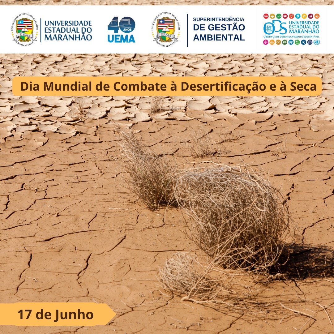 Aga Superintendência De Gestão Ambiental Dia Mundial De Combate à Desertificação E à Seca 