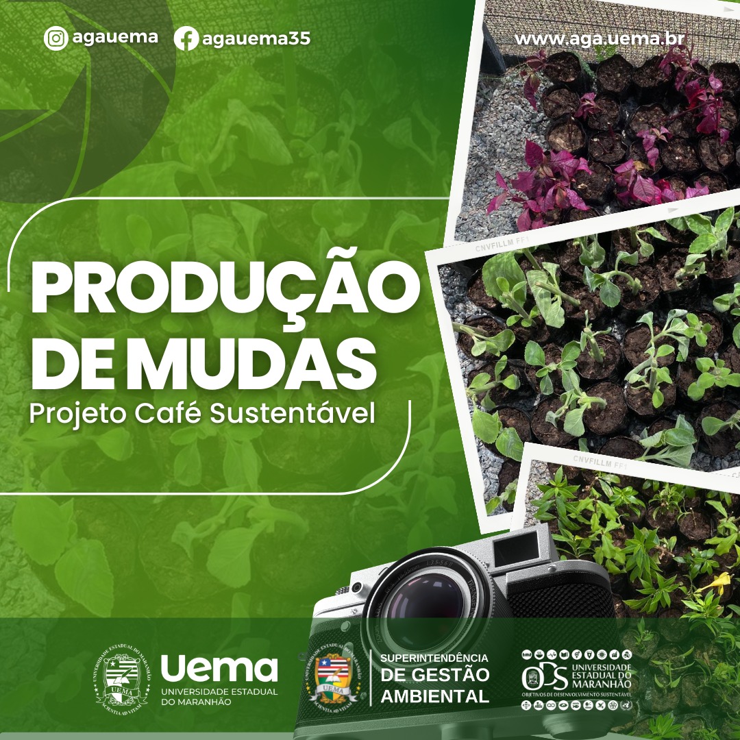 Produção de 418 mudas oriundas do Projeto Café Sustentável.