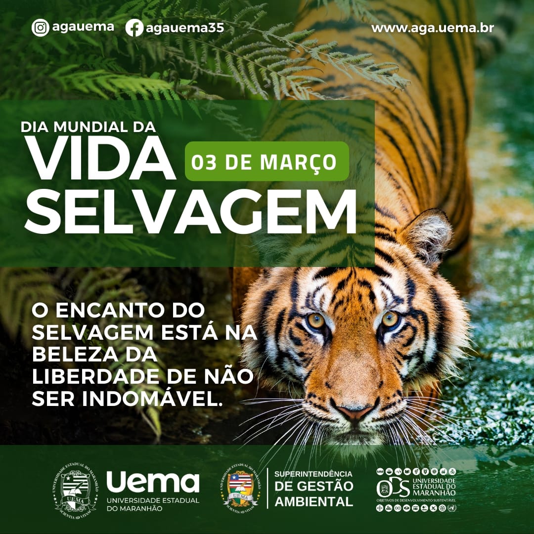Dia 3 de março – Dia Mundial da Vida Selvagem