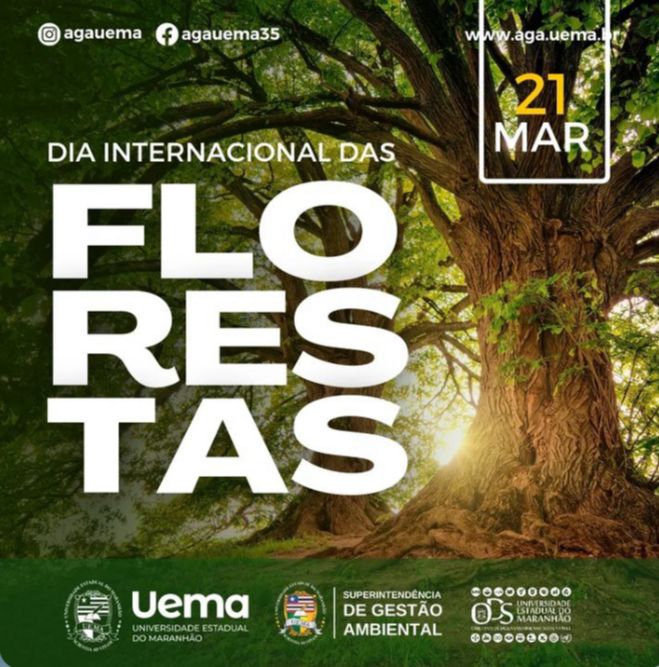 21 de março – Dia Internacional das Floresta
