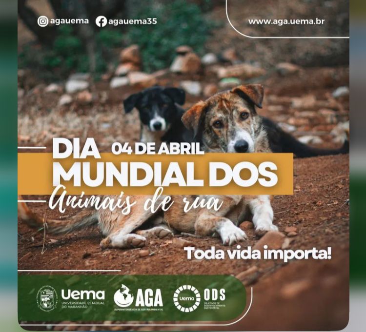 04 de Abril – Dia Mundial dos Animais de Rua.