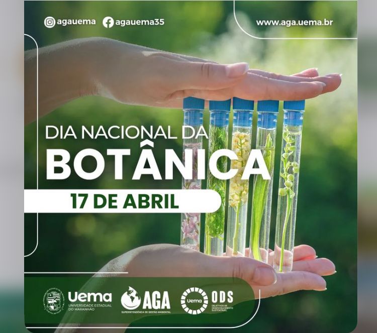 17 de abril é o Dia Nacional da Botânica.