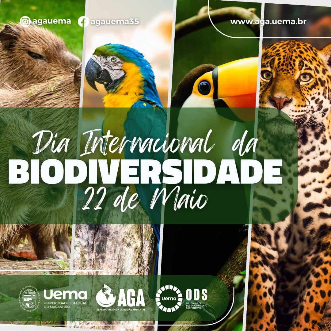 22 de maio – Dia Internacional da Biodiversidade