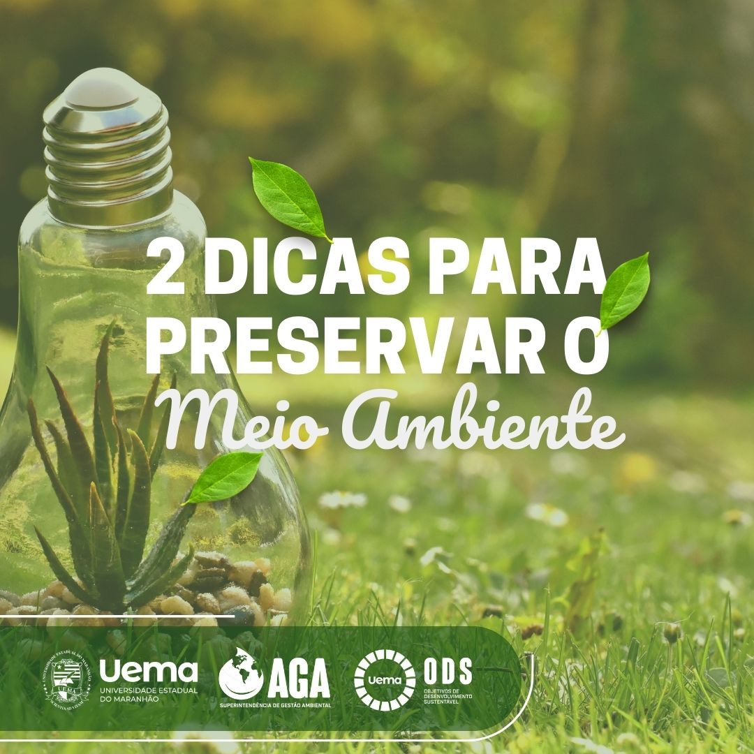 2 dicas para ajudar nessa preservação do Meio Ambiente