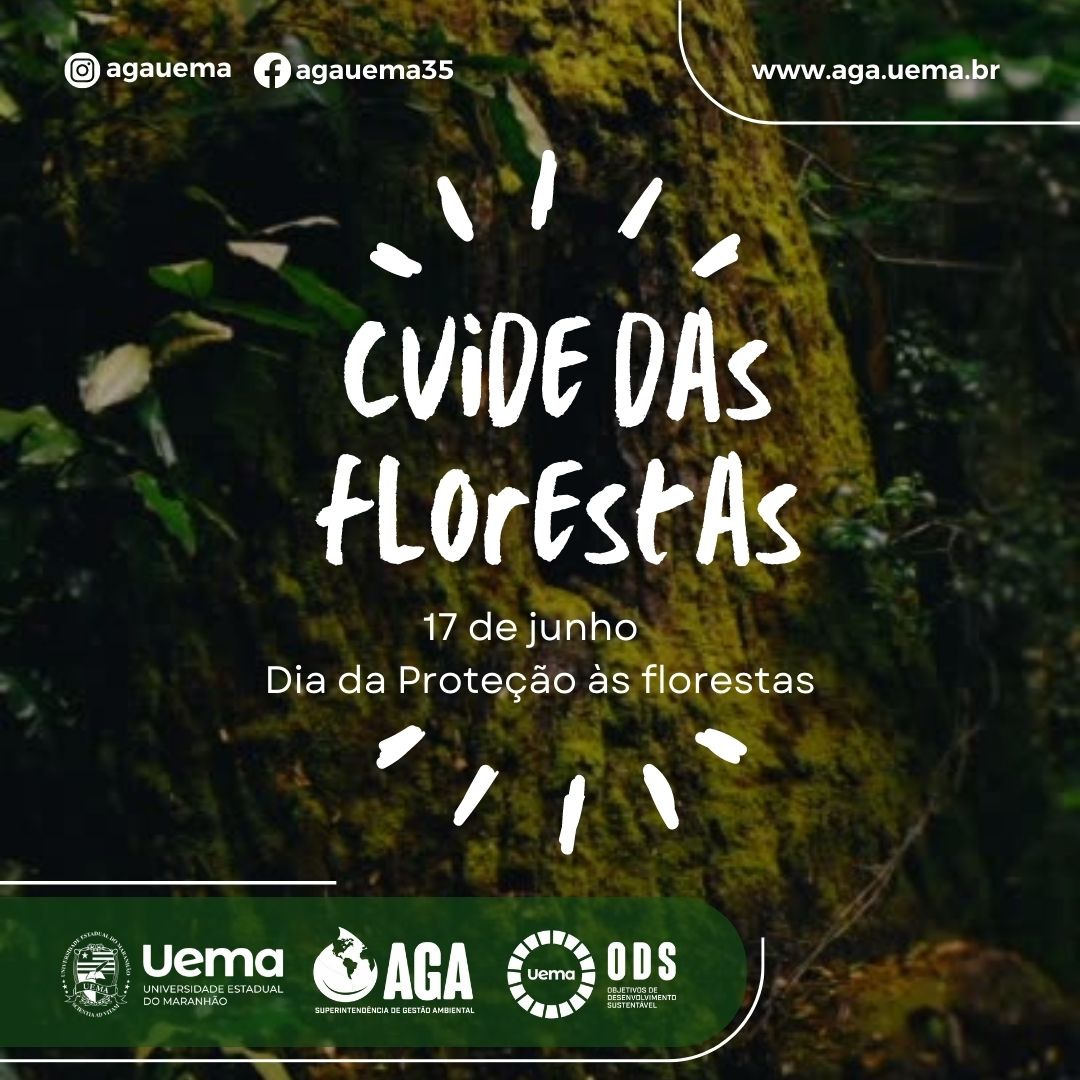 Dia de Proteção às Florestas – dia 17 de julho