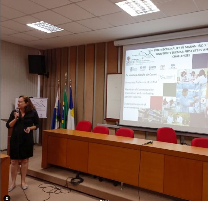 VI Workshop Woman in Science: Knowledge Transfer between the UK and Brazil, iniciativa promovida pelo Desire Project.