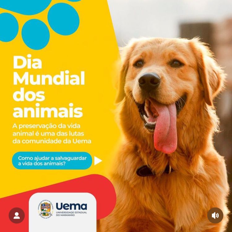 04 de outubro – Dia mundial dos animais