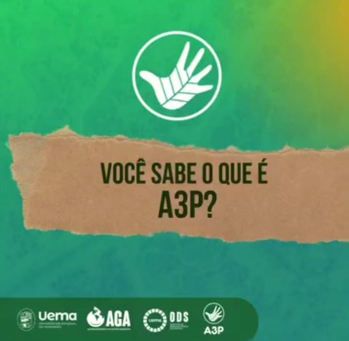 Conheça a A3P