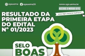 Finalistas da primeira etapa da premiação do Selo Boas Práticas, Edital Nº 01/2023 AGA/UEMA