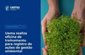 Treinamento: Preenchimento do Formulário de Registro das Ações de Gestão Ambiental”. ?