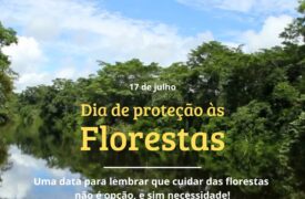 Dia de Proteção às Florestas