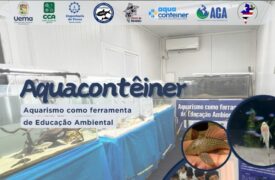 Projeto Aquacontêiner