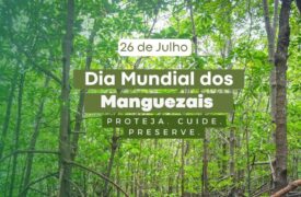 26 de julho – Dia Mundial dos Manguezais,