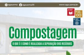Compostagem, o que é e como é realizada a separação dos resíduos