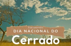 Dia do Cerrado – 11 de setembro