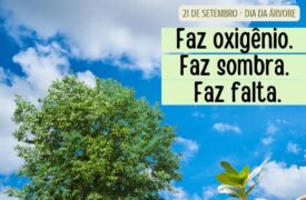 Dia da Árvore – 21 de setembro 🌳
