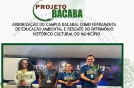 Projeto Bacaba