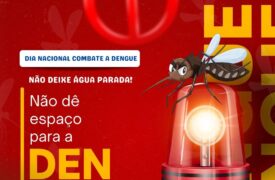 Dia Nacional de Combate a Dengue