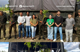 Doação de mudas para duas importantes instituições: o 24º Batalhão de Infantaria de Selva (24º BIS) e a Universidade Federal do Maranhão (UFMA).