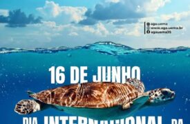 16 de Junho – Dia Internacional da Tartaruga Marinha