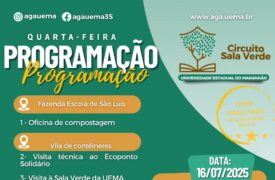 29º Circuito Sala Verde 2025.