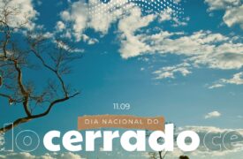 11 de setembro – Dia Nacional do Cerrado