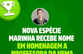 A cientista maranhense e professora da Uema, Zafira da Silva de Almeida (1967–2021), teve seu legado eternizado na ciência!