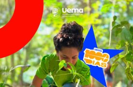 Uema 1000 dias: educação que transforma e cuida do futuro