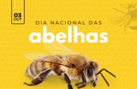03 de Outubro – Dia Nacional das Abelhas