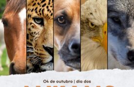 04 de Outubro – Dia dos Animais