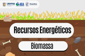 Você sabia que a biomassa pode transformar resíduos em energia limpa e renovável?