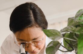 05 de Novembro – Dia Nacional da Cultura e da Ciência